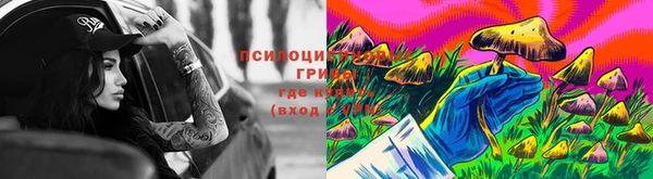кокаин перу Богданович