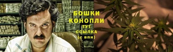 2c-b Богородицк