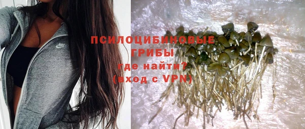стафф Белоозёрский
