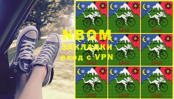 PSILOCYBIN Белокуриха