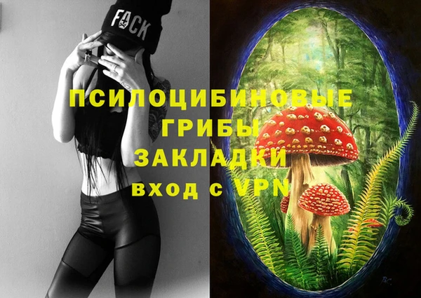 2c-b Богородицк