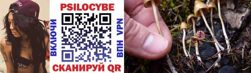Псилоцибиновые грибы Psilocybe  Севск 