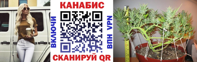 Марихуана Amnesia Севск